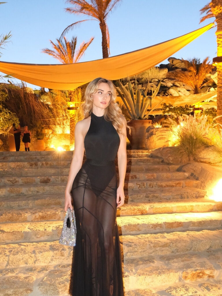 Black Backless Bright Silk Rope See-through Dress - Image 4